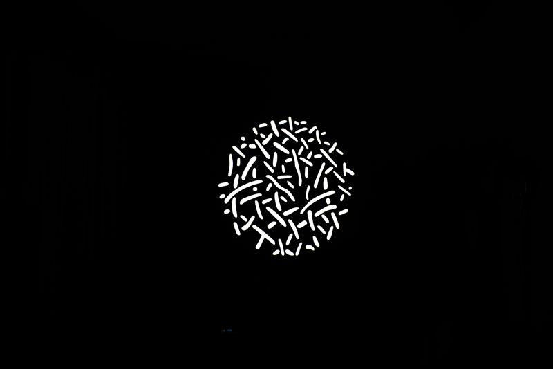 Nanlite GOBO Set 1 dedicat Proiector montura FM, set forme GOBO - imagine 7