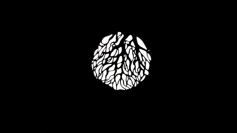 Nanlite Proiector cu montura Bowens unghi de 19° cu lupa - imagine 3