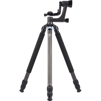 Avatar-Shop|Trepiede