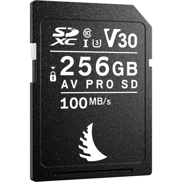 Angelbird SD AV PRO SDXC, SD 6.1, UHS-I, R100/W92 (V30) 256GB, Card memorie