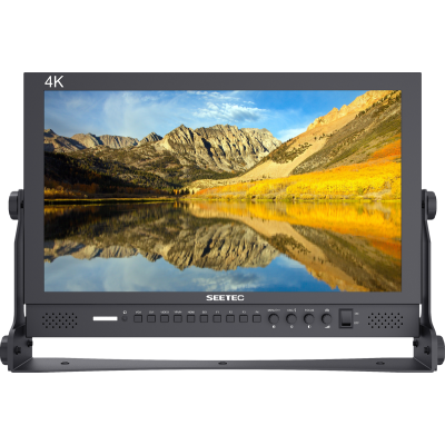 Avatar-Shop|Seetec monitor P173-9HSD 17.3"|SEETEC