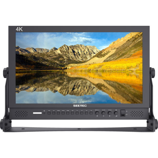 Seetec monitor P173-9HSD 17.3"