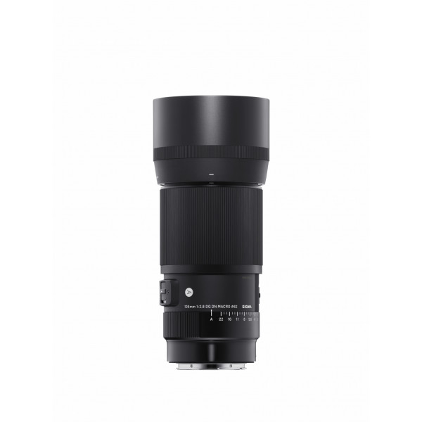 Sigma 105mm F2.8 DG DN Macro Art Obiectiv Foto, Format Full Frame, Montura Sony E, Diafragma F2.8, Motor HSM, Seria Art