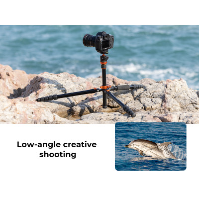 Avatar Shop|K&F Concept K255A4+BH-28L Trepied Foto Video, Aliaj Aluminiu Magneziu, Cap Bila 28mm, Sarcina Maxima 10kg, Monopied Detasabil,|K&F Concept