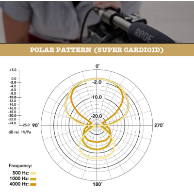 Avatar Shop|Rode NTG2 Microfon Shotgun Condensator, Alimentare P48 sau Baterii AA, Pattern Supercardioid, Constructie Metalica, 161g|RODE
