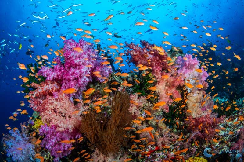 sony a7c ii inregistrare video 4k 60p 10-bit s-log3 cinematografie vlogging