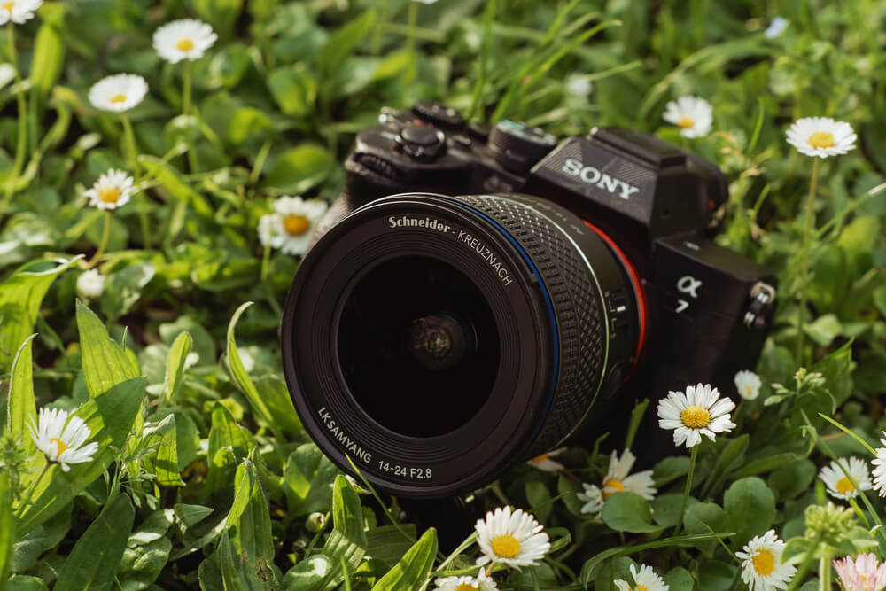 Samyang AF 14-24mm f/2.8