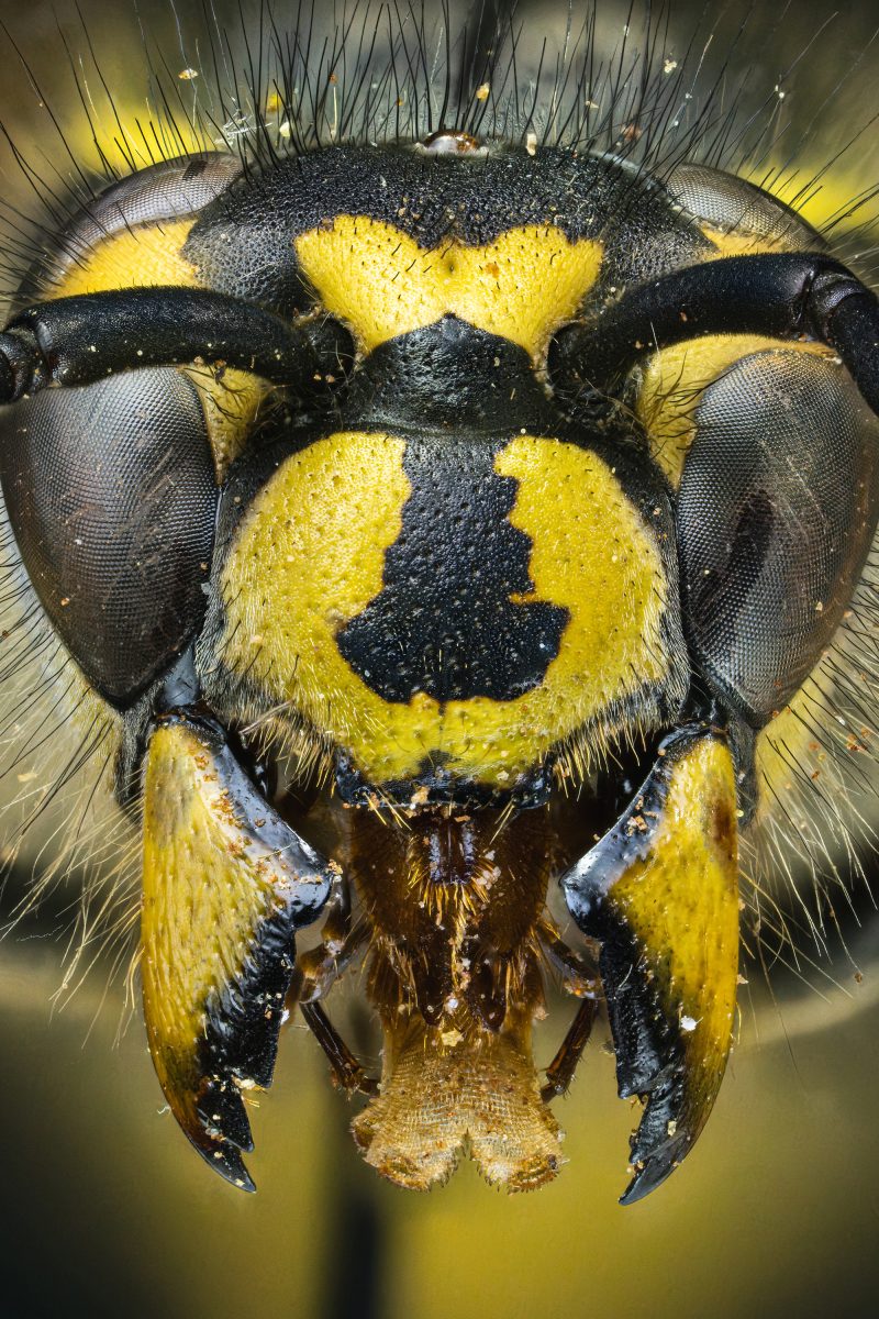 Laowa Aksen 45mm f/2.8 1-5X Ultra Macro APO, Montura Fuji X, Zoom Macro 1-5X, Focalizare Manuala, Diafragma f/2.8-f/11