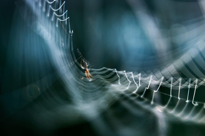 Lensbaby Velvet 56, Obiectiv, Montura Sony E