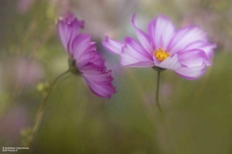 Lensbaby Composer Pro II, Optica Soft Focus II, Montura Canon EF