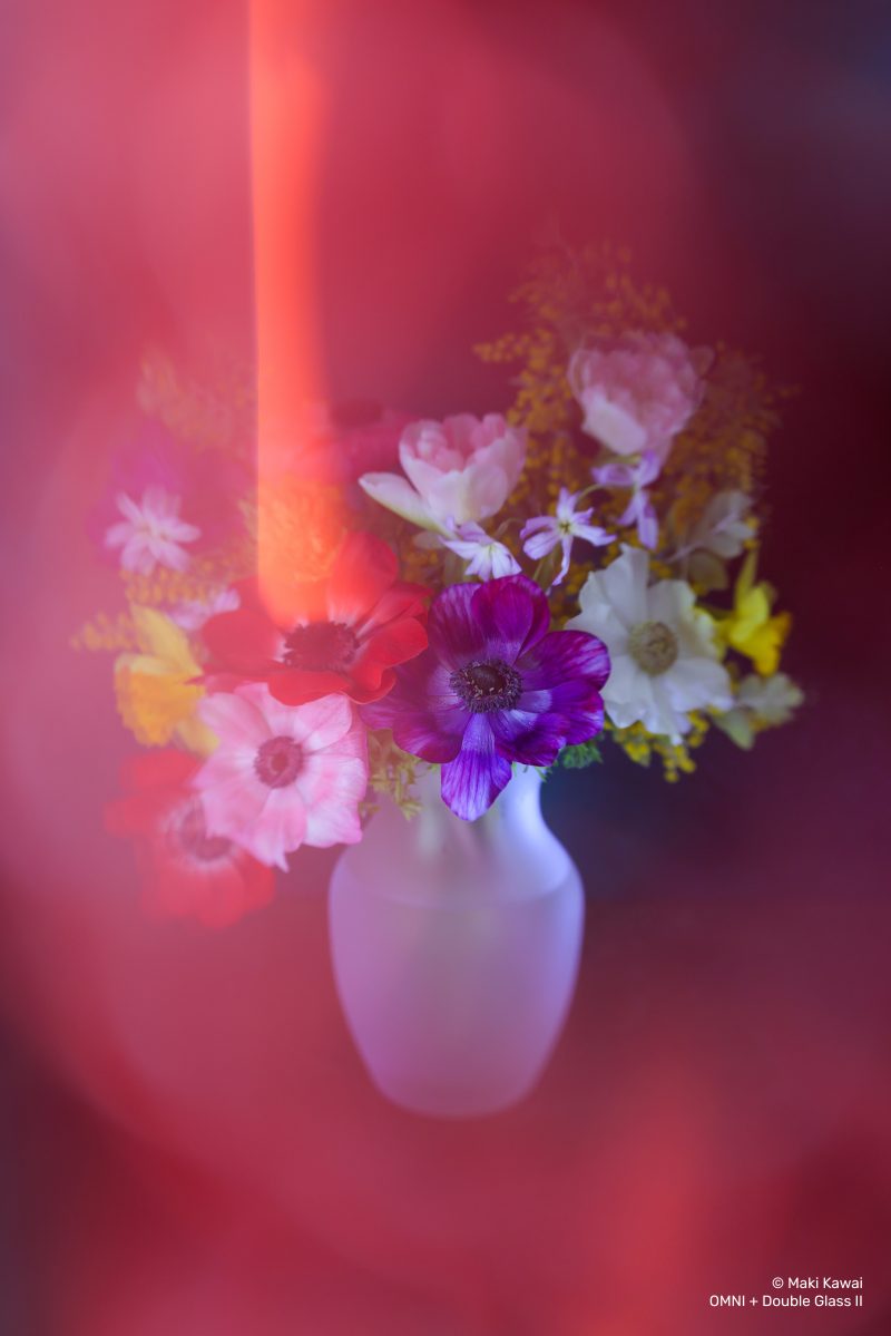 Lensbaby OMNI Adapter, Accesoriu pentru Composer Pro II